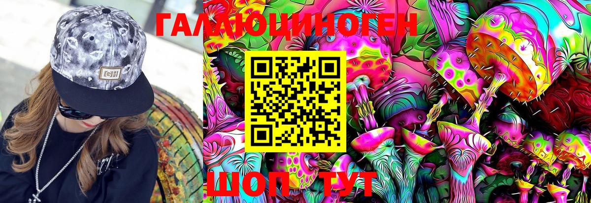 Псилоцибиновые грибы Cubensis Сунжа